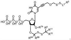 Figure BDA0003670511740002661