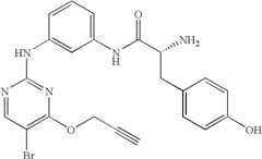 Figure US07504410-20090317-C00273