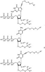 Figure BDA0003670511740002681