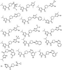 Figure FDA0002792645040000251