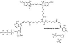 Figure AU2019202835A1_D0336