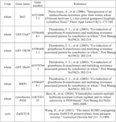 Figure PCTCN2022090268-appb-000109