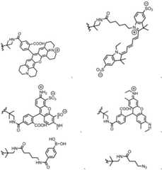 Figure BDA0003670511740002762