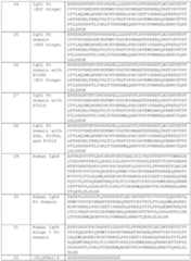 Figure imgf000207_0001