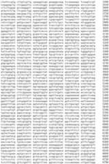 Figure IDA0002536600790000511