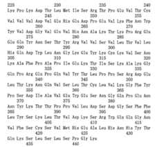 Figure 108143719-A0101-12-0088-174