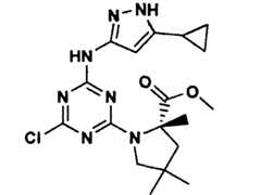 Figure GPA00001066806500941