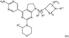 Figure imgf000026_0002