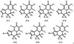 Figure BDA0003141290410000101