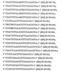 Figure 112003048979699-pct00016