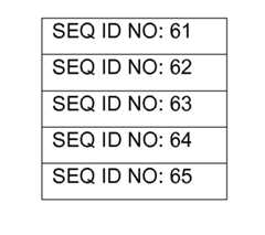 Figure imgf000152_0002