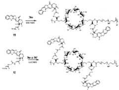 Figure 112013023015302-pat00061