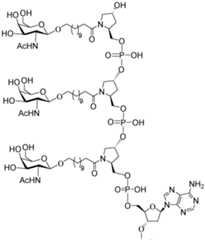 Figure imgf000185_0001