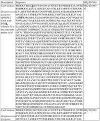 Figure imgf000140_0001