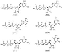 Figure imgf000075_0003