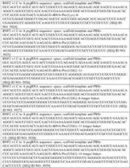 Figure imgf000809_0001