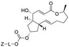 Figure DEST_PATH_IMAGE002