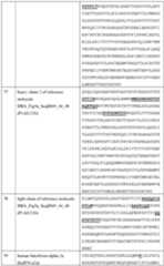 Figure imgf000161_0001