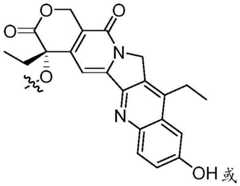 Figure FDA0003875440210000062