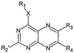 Figure imgf000021_0001