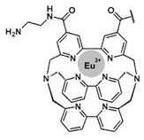Figure DEST_PATH_IMAGE006