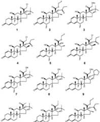 Figure imgf000014_0001