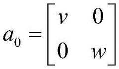 Figure BDA0003710447080000031