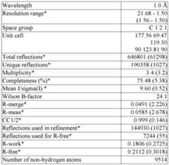 Figure imgf000233_0001
