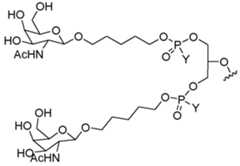 Figure imgf000176_0003