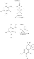 Figure US07214690-20070508-C00013