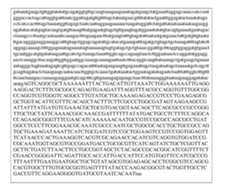 Figure imgf000572_0001