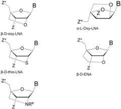 Figure imgf000044_0002