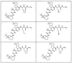 Figure imgf000332_0001