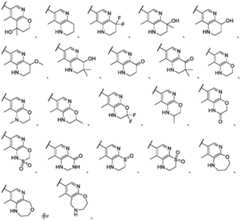 Figure FDA0002911816750000111