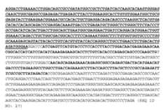 Figure imgf000049_0001