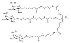 Figure 2023012548000034