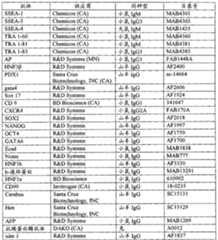 Figure BPA00001280678300511