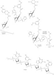 Figure US07727713-20100601-C00168