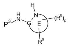 Figure 112013104759925-pct00061