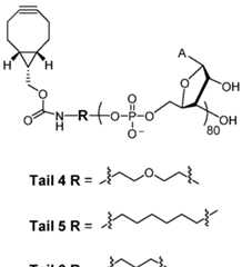 Figure imgf000243_0002