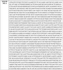 Figure imgf000056_0002