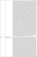 Figure BDA0002317806370000711