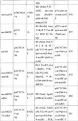 Figure BPA00001563191501331