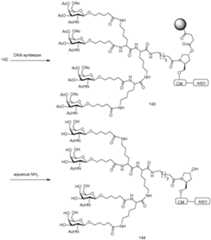 Figure imgf000224_0001