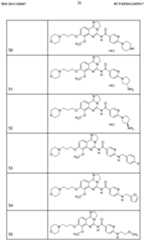 Figure imgf000027_0001