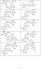 Figure imgf000051_0001