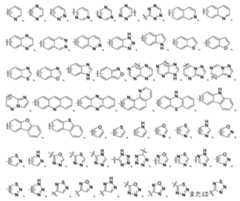 Figure 0007576548000013