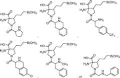 Figure AU2017356942A1_D0036