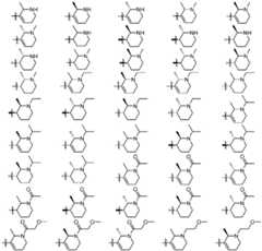 Figure GDA0003379855500001261