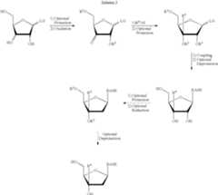 Figure US08299038-20121030-C00033